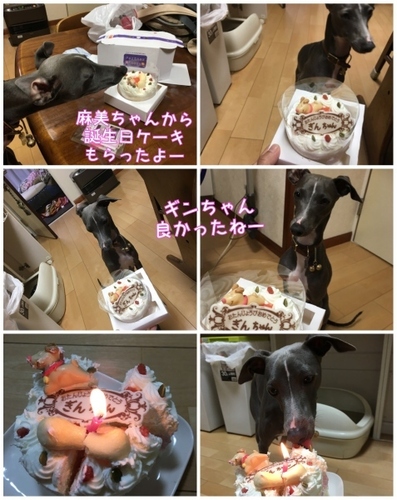 IMG_6374 (477x600).jpg